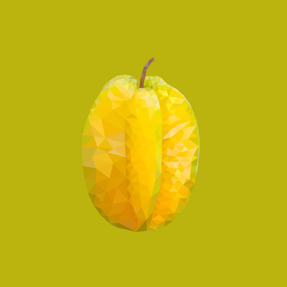 illustration__sternfrucht