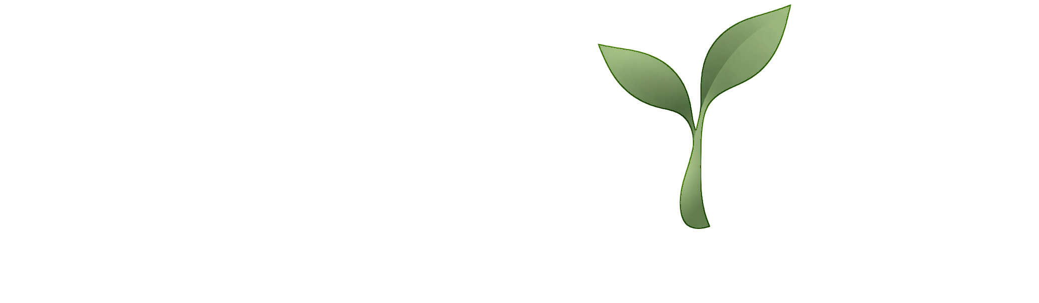 Lenzkind Marketing Logo
